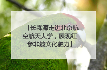 长森源走进北京航空航天大学，展现红参非遗文化魅力