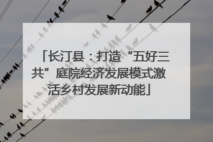 长汀县：打造“五好三共”庭院经济发展模式激活乡村发展新动能