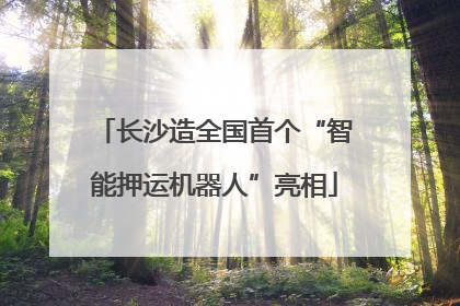 长沙造全国首个“智能押运机器人”亮相