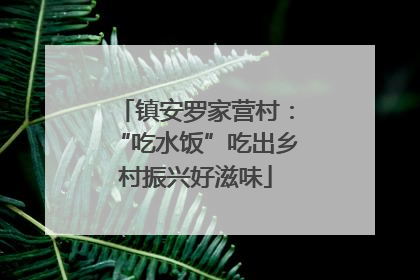 镇安罗家营村：“吃水饭”吃出乡村振兴好滋味