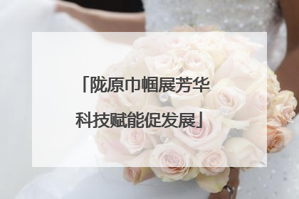 陇原巾帼展芳华 科技赋能促发展
