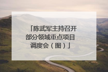 陈武军主持召开部分领域重点项目调度会（图）
