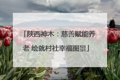 陕西神木：慈善赋能养老 绘就村社幸福图景