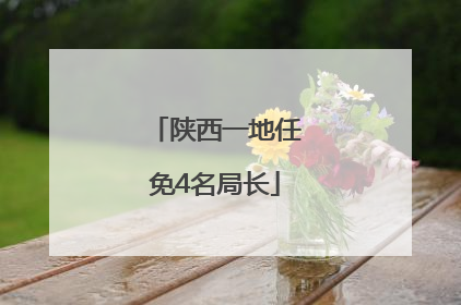 陕西一地任免4名局长