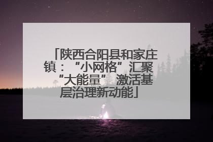陕西合阳县和家庄镇：“小网格”汇聚“大能量” 激活基层治理新动能