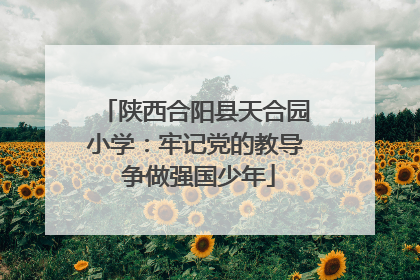 陕西合阳县天合园小学：牢记党的教导 争做强国少年