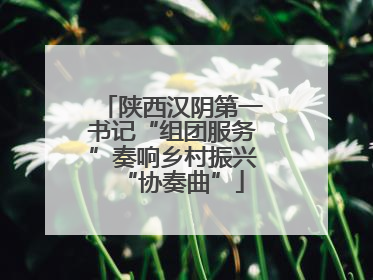 陕西汉阴第一书记“组团服务”奏响乡村振兴“协奏曲”