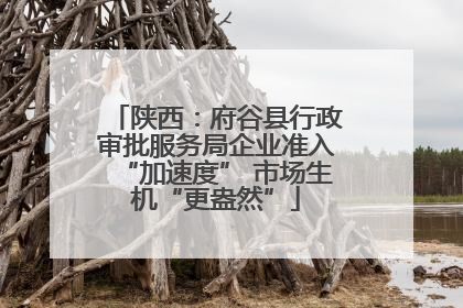 陕西：府谷县行政审批服务局企业准入“加速度” 市场生机“更盎然”