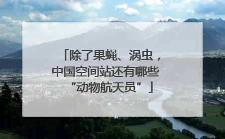 除了果蝇、涡虫，中国空间站还有哪些“动物航天员”