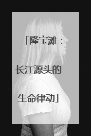 隆宝滩：长江源头的生命律动
