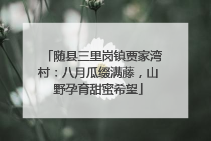 随县三里岗镇贾家湾村：八月瓜缀满藤，山野孕育甜蜜希望