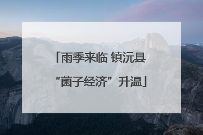 雨季来临 镇沅县“菌子经济”升温