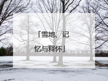 雪地、记忆与释怀