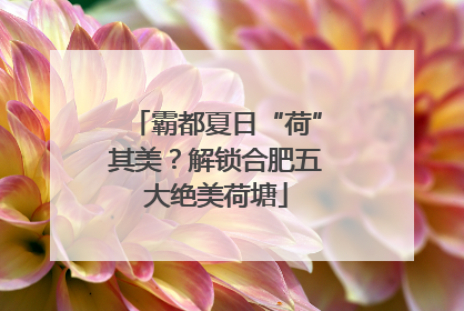 霸都夏日“荷”其美？解锁合肥五大绝美荷塘