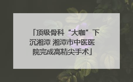 顶级骨科“大咖”下沉湘潭 湘潭市中医医院完成高精尖手术