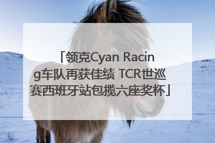领克Cyan Racing车队再获佳绩 TCR世巡赛西班牙站包揽六座奖杯