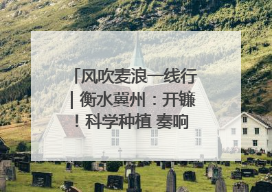 风吹麦浪一线行｜衡水冀州：开镰！科学种植 奏响丰收序曲
