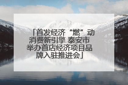 首发经济“燃”动消费新引擎 泰安市举办首店经济项目品牌入驻推进会