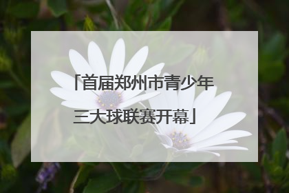 首届郑州市青少年三大球联赛开幕