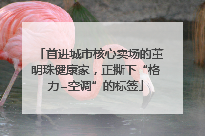 首进城市核心卖场的董明珠健康家，正撕下“格力=空调”的标签