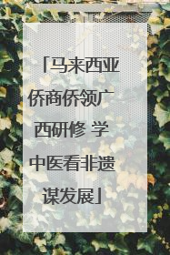 马来西亚侨商侨领广西研修 学中医看非遗谋发展