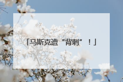 马斯克遭“背刺”！