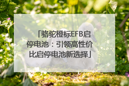 骆驼橙标EFB启停电池：引领高性价比启停电池新选择