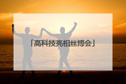 高科技亮相丝博会