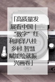 高质量发展看中国｜“数字”红利润泽八桂乡村 智慧赋能绘就振兴画卷