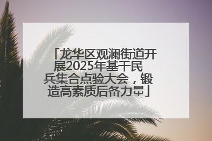 龙华区观澜街道开展2025年基干民兵集合点验大会，锻造高素质后备力量