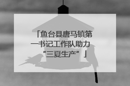 鱼台县唐马镇第一书记工作队助力“三夏生产”