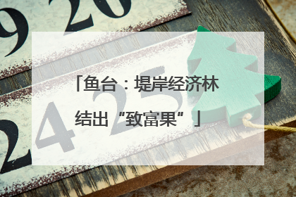 鱼台：堤岸经济林结出“致富果”