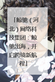 鲸驰（河北）网络科技集团：鲸驰出海，开启跨境新航程
