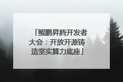 鲲鹏昇腾开发者大会：开放开源铸造坚实算力底座