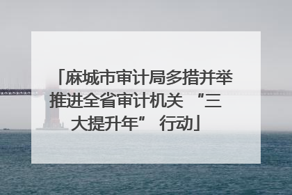 麻城市审计局多措并举推进全省审计机关 “三大提升年” 行动