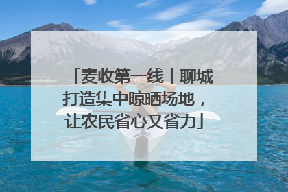 麦收第一线丨聊城打造集中晾晒场地，让农民省心又省力