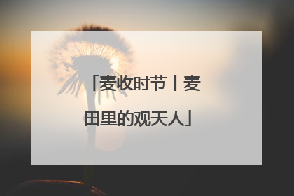麦收时节丨麦田里的观天人