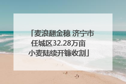 麦浪翻金穗 济宁市任城区32.28万亩小麦陆续开镰收割