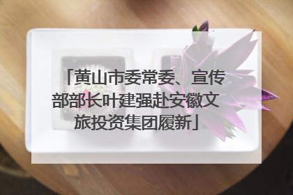 黄山市委常委、宣传部部长叶建强赴安徽文旅投资集团履新