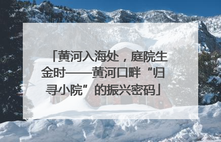 黄河入海处，庭院生金时——黄河口畔“归寻小院”的振兴密码