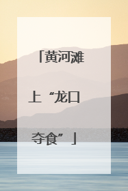黄河滩上“龙口夺食”