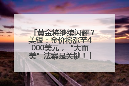 黄金将继续闪耀？美银：金价将涨至4000美元，“大而美”法案是关键！