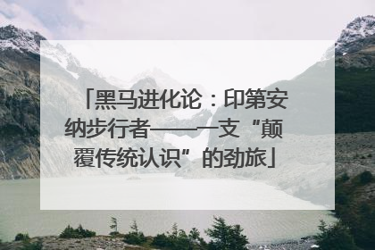 黑马进化论：印第安纳步行者——一支“颠覆传统认识”的劲旅