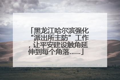 黑龙江哈尔滨强化“派出所主防”工作，让平安建设触角延伸到每个角落……