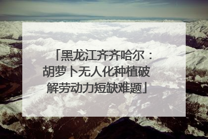 黑龙江齐齐哈尔：胡萝卜无人化种植破解劳动力短缺难题