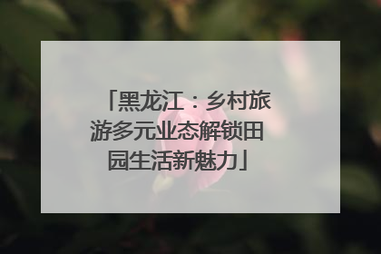 黑龙江：乡村旅游多元业态解锁田园生活新魅力