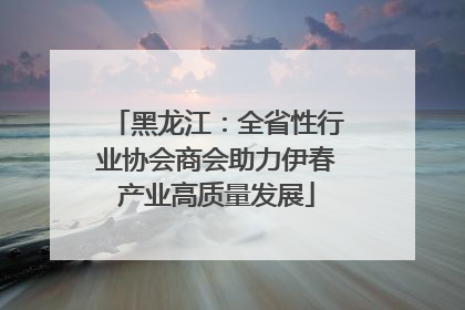 黑龙江：全省性行业协会商会助力伊春产业高质量发展