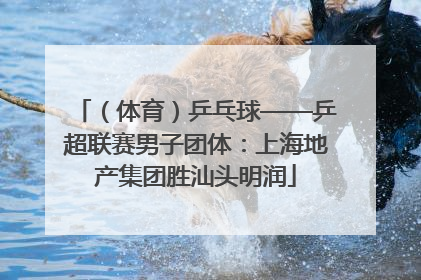 （体育）乒乓球——乒超联赛男子团体：上海地产集团胜汕头明润