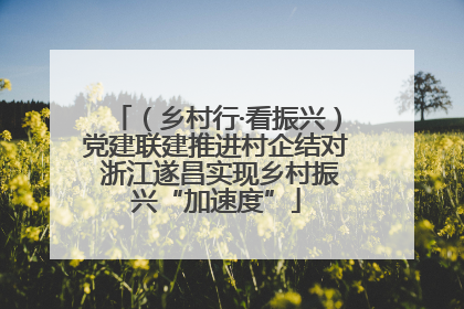 （乡村行·看振兴）党建联建推进村企结对 浙江遂昌实现乡村振兴“加速度”