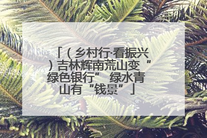 （乡村行·看振兴）吉林辉南荒山变“绿色银行” 绿水青山有“钱景”